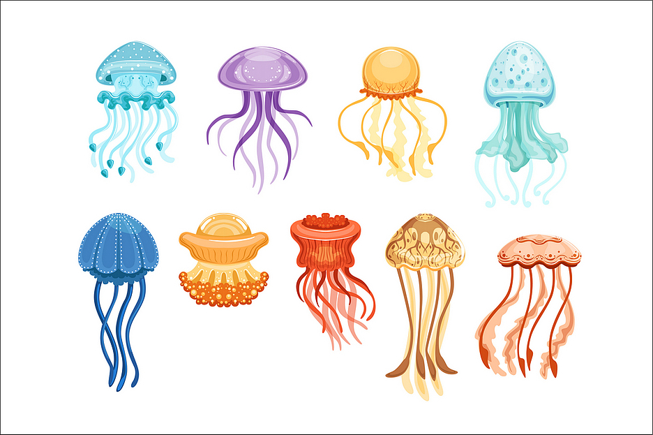 Роботы-медузы оказались быстрее живых прототипов
