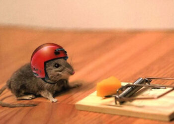 How to avoid the pitfalls of content marketing. Infographics