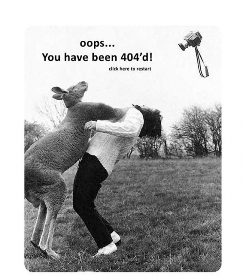 Digital monkey. «Не найдено»: как с помощью ошибки 404 удерживать клиентов на сайте - 13