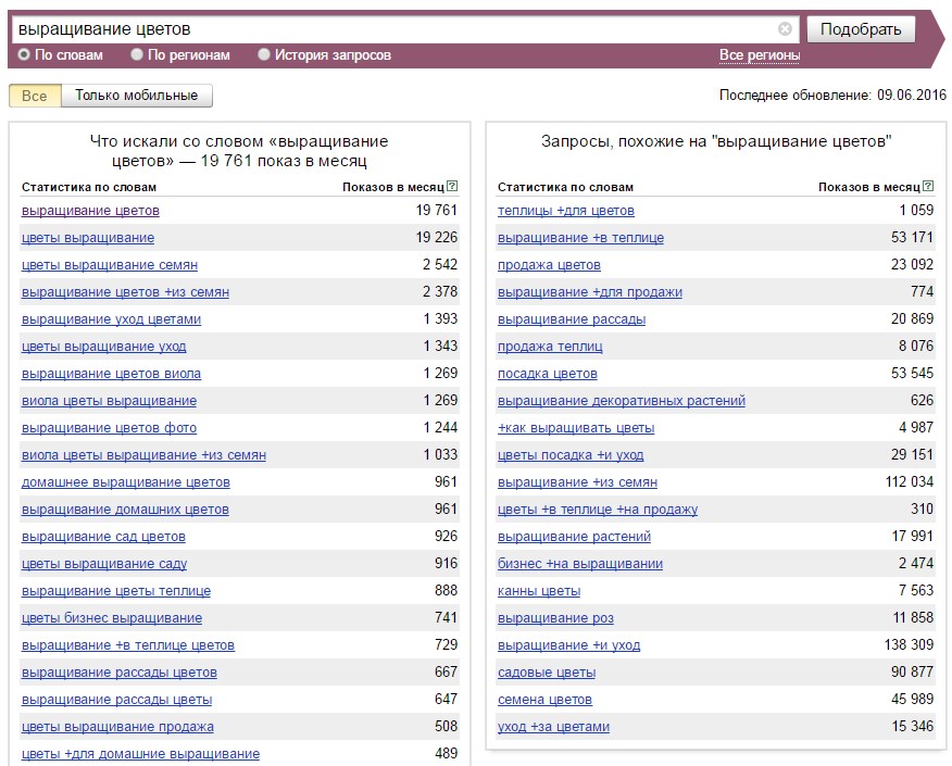 SEO для новичков: как подобрать ключевые слова для сайта - 6