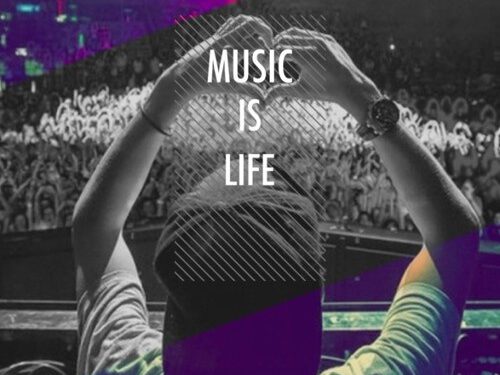 Party of electronic music in D Monkey