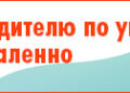 “RuSat” started to master one more segment of the telecommunications market
