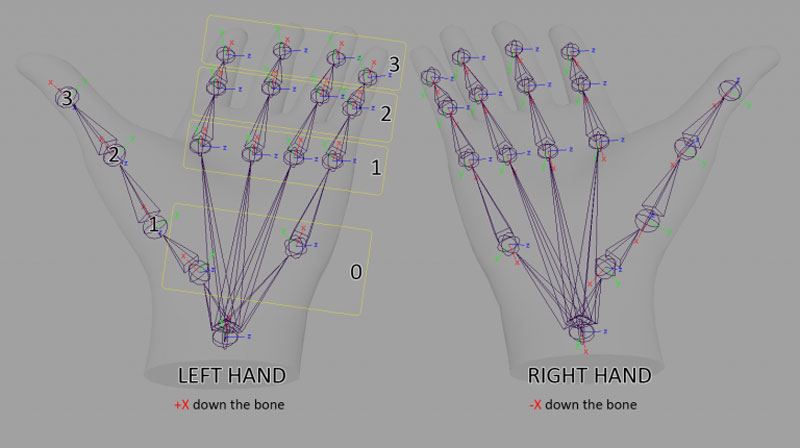 Разработчики видят руки пользователя как облако точек или как модель скелета. Картина: Окулус