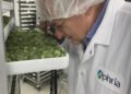 Aphria shares jumped 21% after the quarterly report, shares of rivals also rose