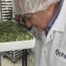 Aphria shares jumped 21% after the quarterly report, shares of rivals also rose