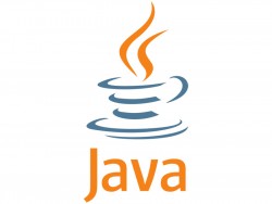 Java (Image: Oracle)