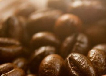 What are JavaBeans?