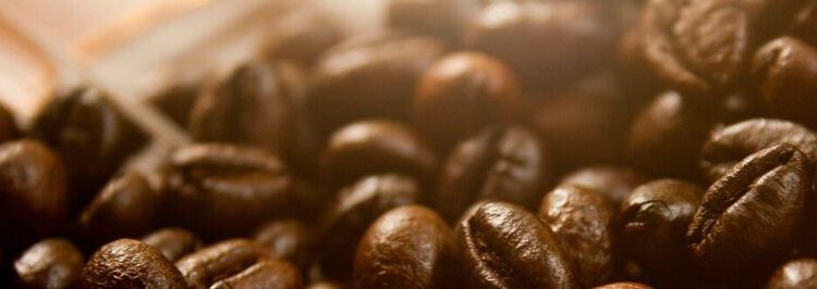What are JavaBeans?