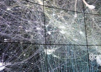 AI turns software into images and looks for weaknesses