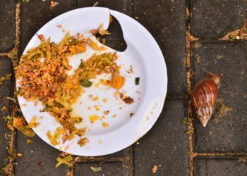 Artificial intelligence as a formula to combat food waste