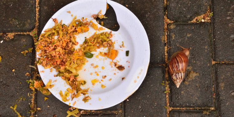 Artificial intelligence as a formula to combat food waste