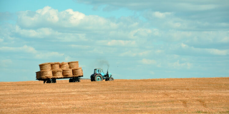 How to improve farmers ' lives