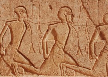 Fabricius, the application that will help you translate hieroglyphs