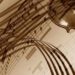 No concert without a treble clef, no application without encryption, no orchestration without leading security