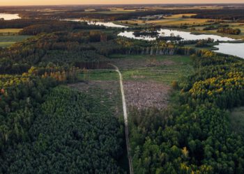 AI fighting climate change