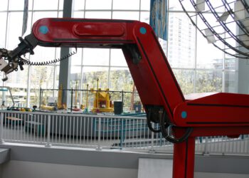 The delicate decision to establish a legal status for robots