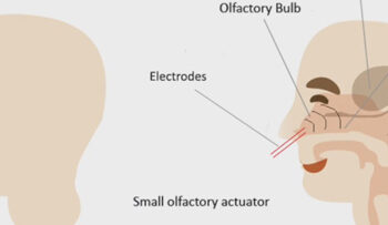 Virtual odor through electrical impulses Sent by the community