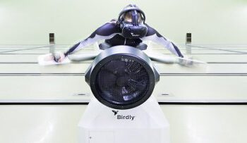 Fly among dinosaurs from Madrid with Jurassic Flight Sent by the community