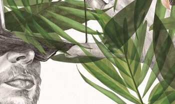 These are the ones selected for the 4th Ranetas VR Fest Sent by the community