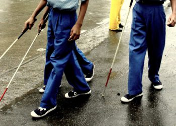 Aipoly, a support app for the blind