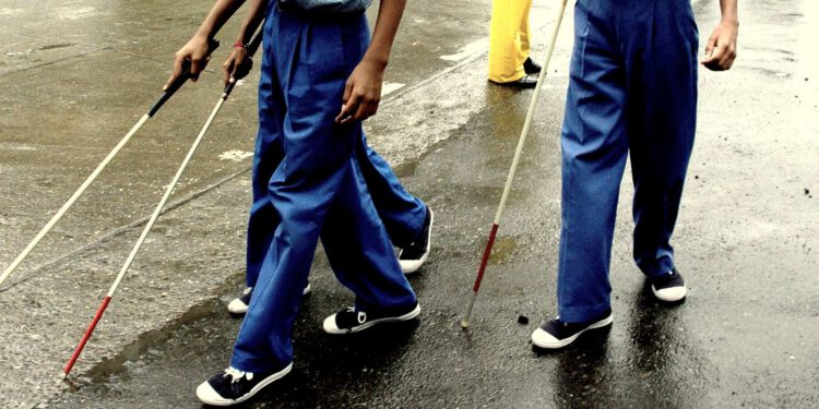 Aipoly, a support app for the blind