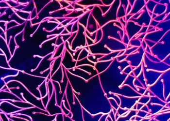 This AI algorithm has learned to read emotions on its own