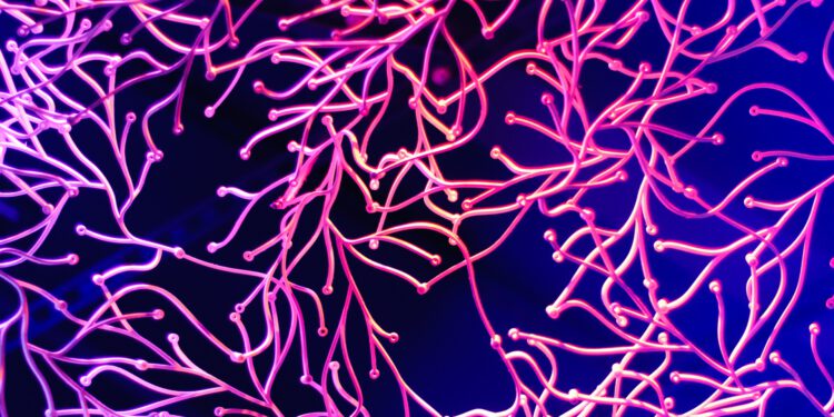 This AI algorithm has learned to read emotions on its own