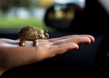 The latest advances in object recognition