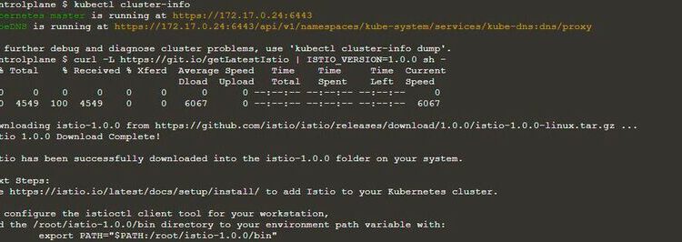 Deploy Istio in Kubernetes.