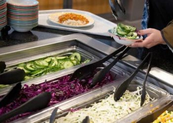 Uni Hamburg gets its first vegetarian-vegan canteen