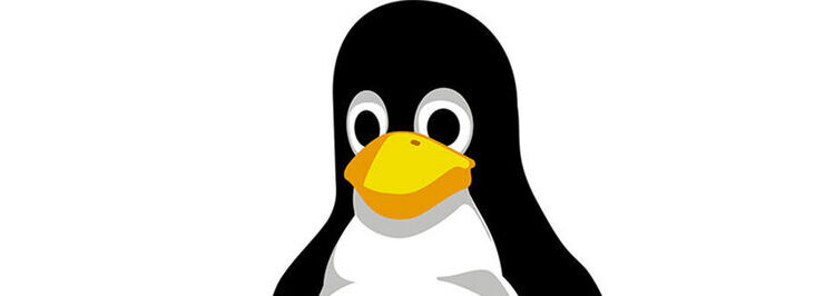 If you want to back up data on Linux servers, you have several options. We show some of the most important.