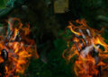 Stormborn is preparing the Kickstarter for Runes: The Forgotten Path