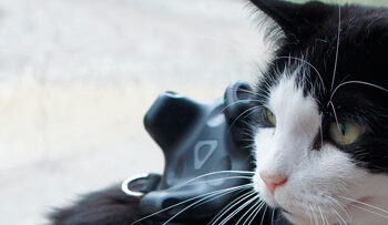 Vive Tracker to alert us of our pets