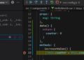 Debugging a Vue application in Visual Studio Code.