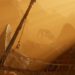 Sansar is coming in the first half of 2017 Submitted by the community