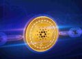 When is the next Cardano update coming?