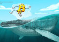 Bitcoin (BTC) at its highest price in 10 days, whales are causing a “massive spike”