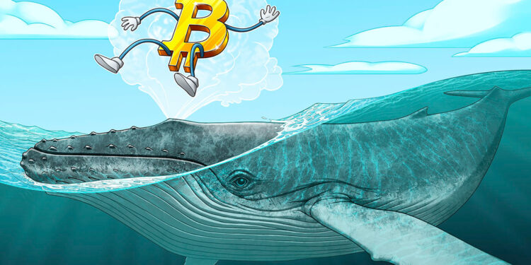 Bitcoin (BTC) at its highest price in 10 days, whales are causing a “massive spike”