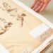 Dried treasures: discovering plants in the online herbarium