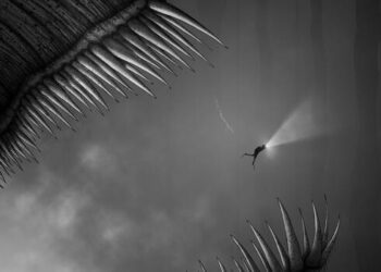 Sea excursion with a scary factor: “Silt”: deep-sea diver experiences a dark adventure