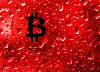 Bitcoin Price Plunges Below $30,000