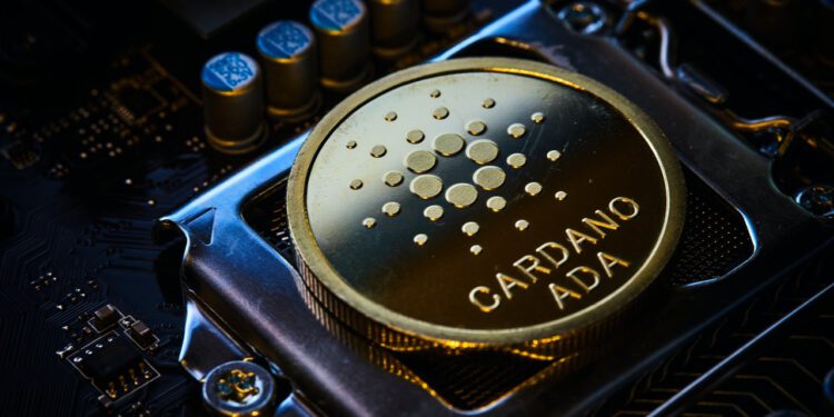 How high can the Cardano price rise in the future?