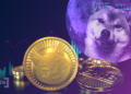 Shiba Inu Coin: Layer-2-Lösung Shibarium kommt Juni 2022