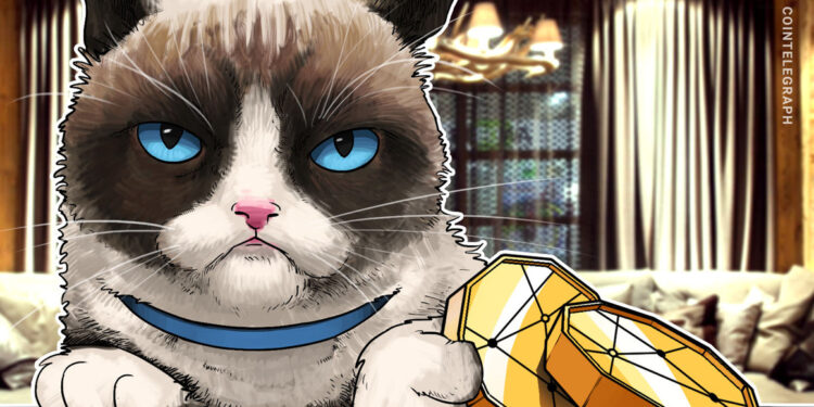 “Not YOUR Coins” – lawyers see customer funds as the possession of Celsius