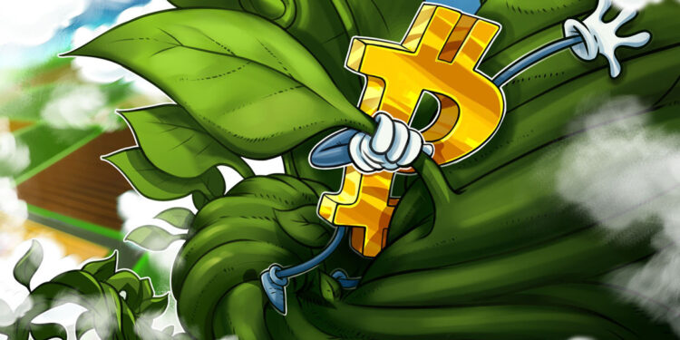 How will the market react?