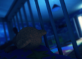 Among the Sleep beta available for Oculus Rift DK2