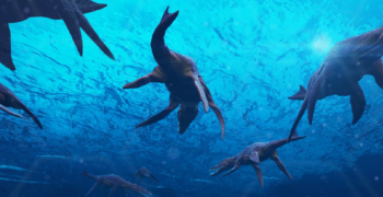 Time Machine for Oculus Rift will be presented at the GDC