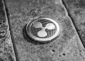 The preference for Ripple XRP is increasing at BSC Whales