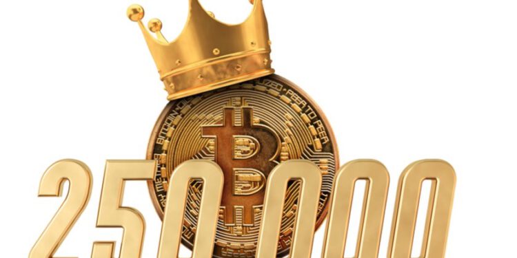 Convinced that the Bitcoin price will reach $250,000 in a year