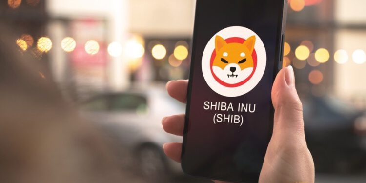 Despite the sell-off, Shiba Inu records profits
